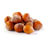 Rich Quality Least Price Hazelnuts