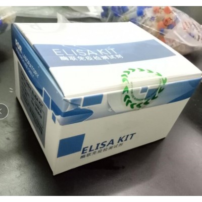 Shanghai Huichem Elisa Kit HIV/HCV/Vitamin D/Vitam B12 Elisa Kits