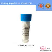 High purity Dasatinib monohydrate cas no. 863127-77-9 used for Antineoplastic Agents